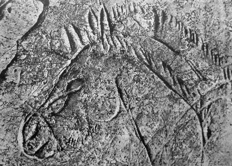 Petroglifos rupestres de la Cueva de los Casares - Petroglifos rupestres de la Cueva de los Casares. Caballo