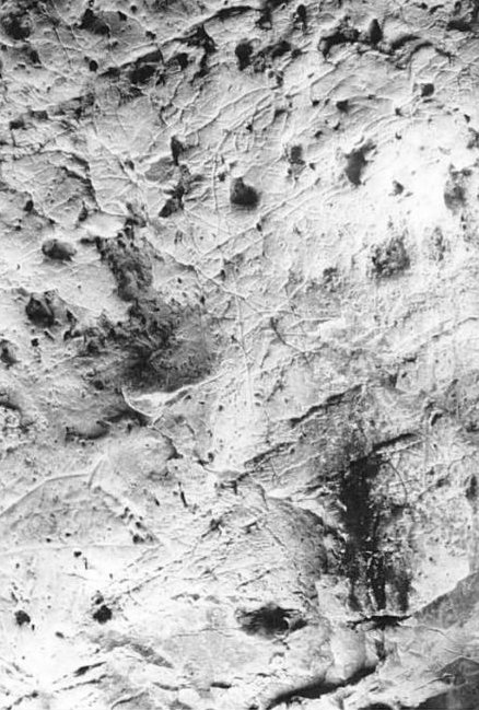 Petroglifos rupestres de la Cueva de los Casares - Petroglifos rupestres de la Cueva de los Casares. Caballo y antropomorfo