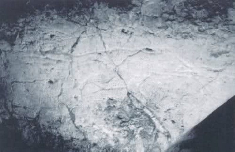 Petroglifos rupestres de la Cueva de los Casares - Petroglifos rupestres de la Cueva de los Casares. Glotn