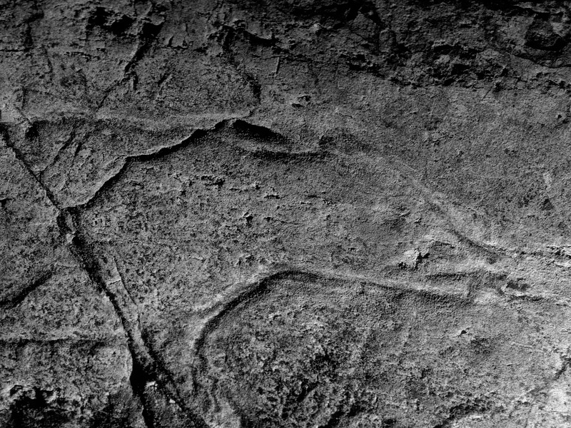 Petroglifos rupestres de la Cueva de los Casares - Petroglifos rupestres de la Cueva de los Casares. Cabeza del glotn