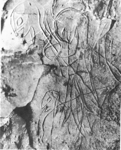Petroglifos rupestres de la Cueva de los Casares - Petroglifos rupestres de la Cueva de los Casares. Rito del agua y la vida