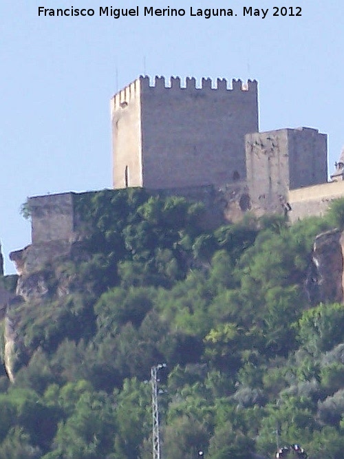 La Mota. Alcazaba - La Mota. Alcazaba. Desde el norte