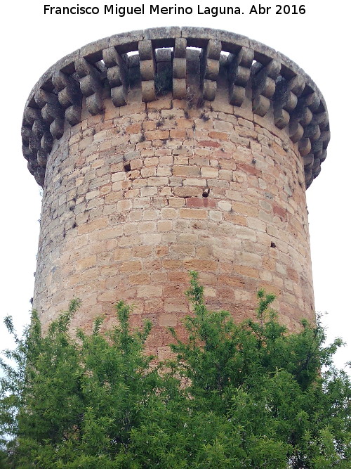 Torren de la Moraleja - Torren de la Moraleja. 