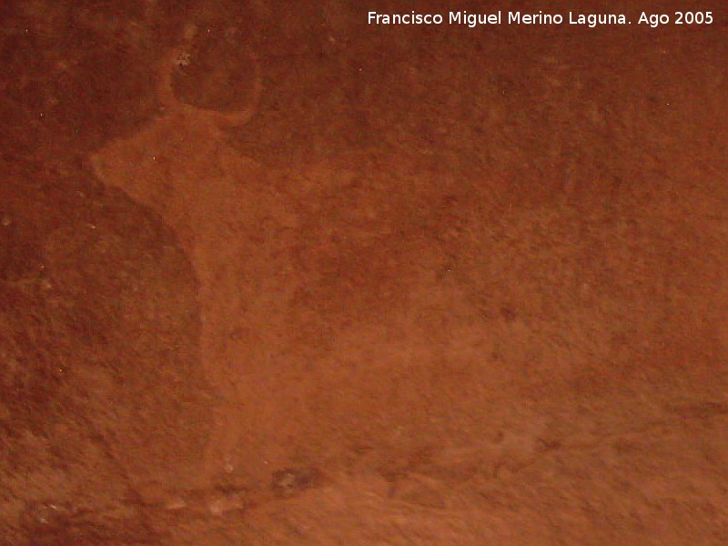 Pinturas rupestres del Abrigo de la Cocinilla del Obispo - Pinturas rupestres del Abrigo de la Cocinilla del Obispo. Toro de la derecha