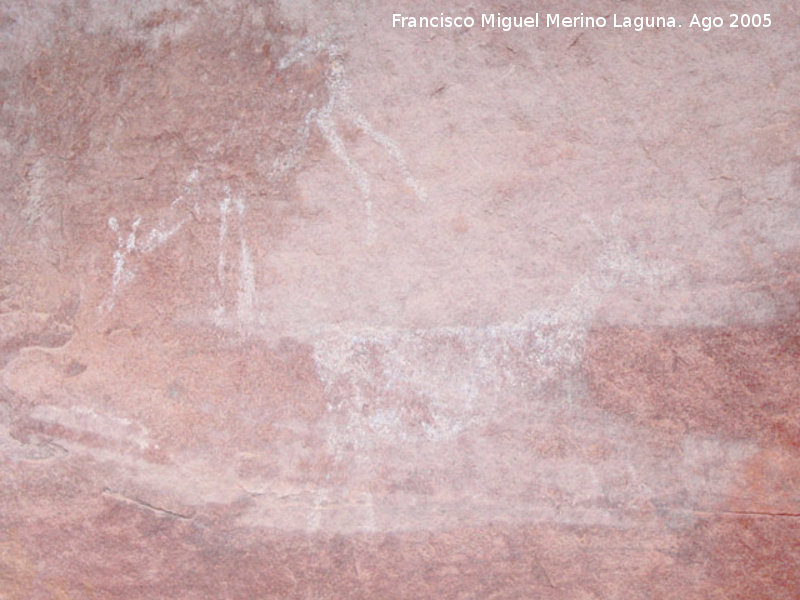 Pinturas rupestres del Covacho de la Paridera - Pinturas rupestres del Covacho de la Paridera. Ciervas