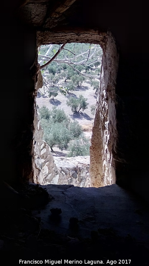 Torren del Cortijo de la Torre - Torren del Cortijo de la Torre. Puerta