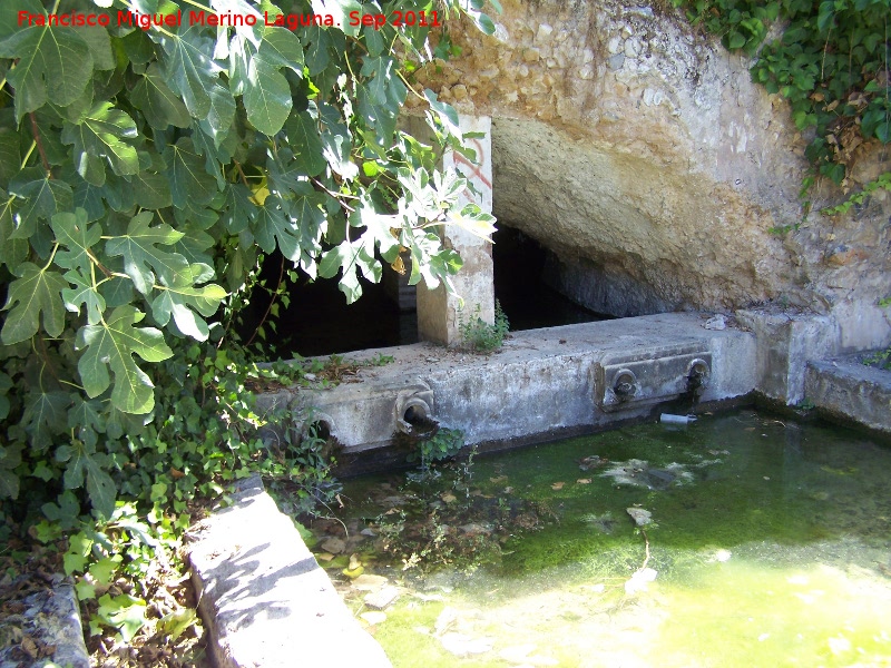 Charca de Fuente Amua - Charca de Fuente Amua. Fuente