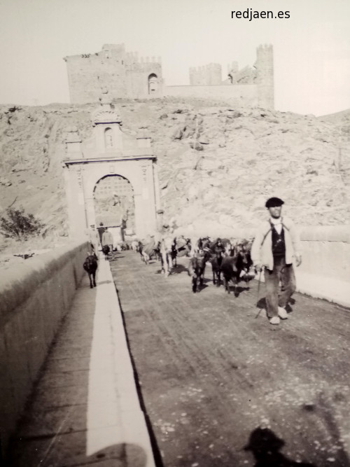 Alczar de Toledo - Alczar de Toledo. Foto antigua