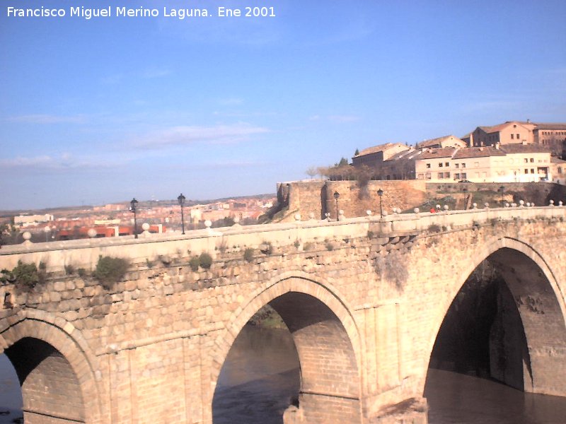 Puente de San Martn - Puente de San Martn. 