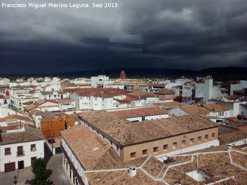  - . Desde la Torre del Reloj