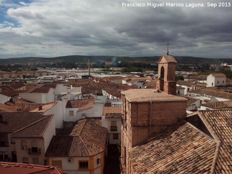  - . Desde la Torre del Reloj