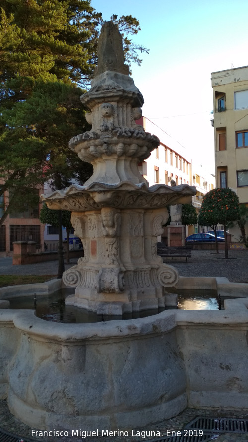 Fuente del Mercado - Fuente del Mercado. 