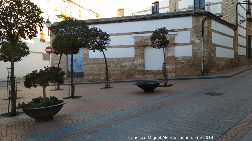 Palacio de los Prez de Vargas - Palacio de los Prez de Vargas. Patio lateral