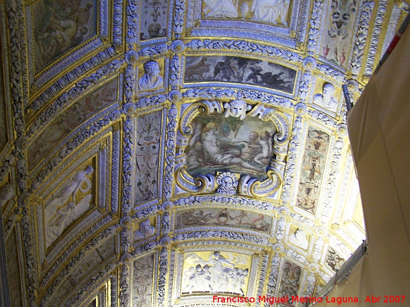 Palacio Ducal - Palacio Ducal. Techo