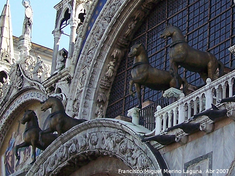 Baslica de San Marcos - Baslica de San Marcos. Caballos