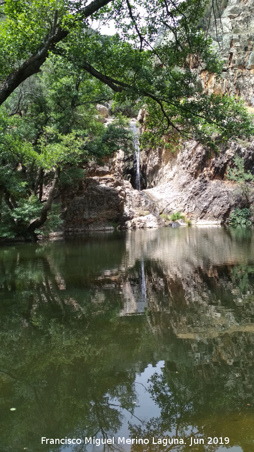 Charco del Negrillo - Charco del Negrillo. 