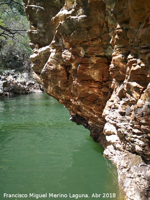 Charco del Negrillo - Charco del Negrillo. 