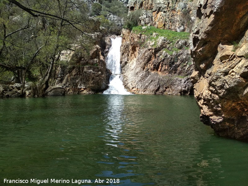 Charco del Negrillo - Charco del Negrillo. 