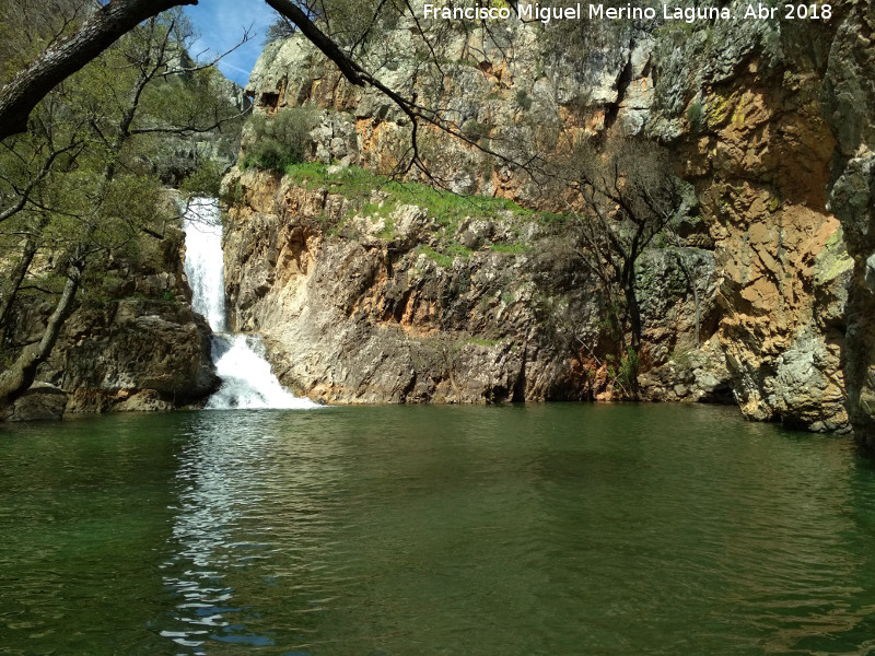 Charco del Negrillo - Charco del Negrillo. 