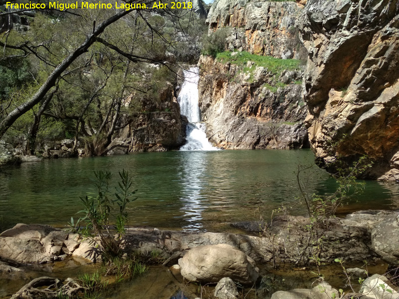 Charco del Negrillo - Charco del Negrillo. 