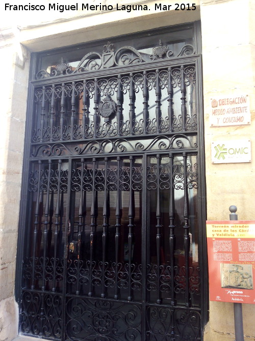 Torre de los Valdivia - Torre de los Valdivia. Puerta