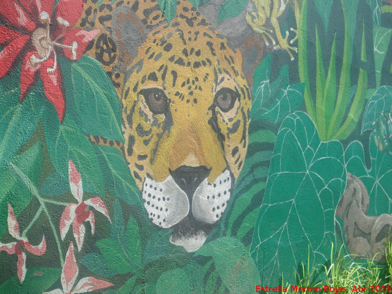 Zoológico de Córdoba - Zoológico de Córdoba. Graffiti de la Amazonia