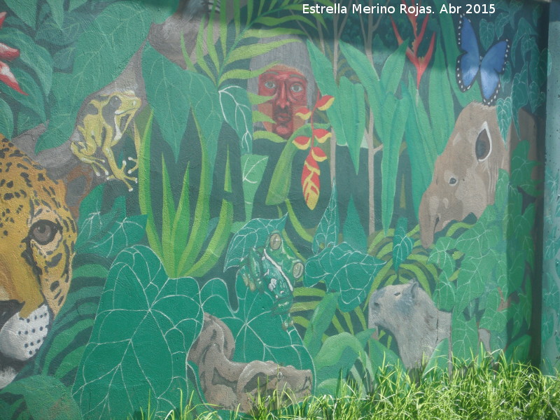 Zoológico de Córdoba - Zoológico de Córdoba. Graffiti de la Amazonia