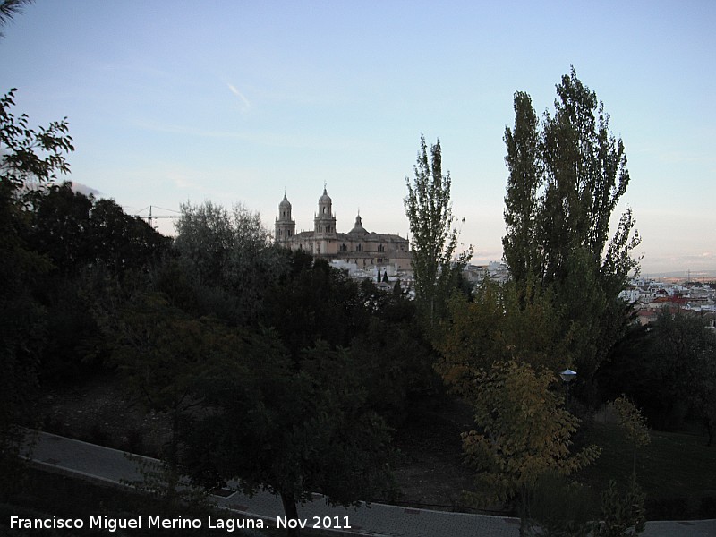 Parque del Seminario - Parque del Seminario. Atardeciendo