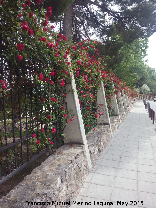 Parque del Seminario - Parque del Seminario. Valla de rosales