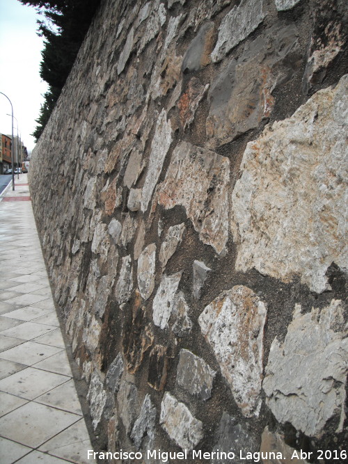 Parque del Seminario - Parque del Seminario. Muro