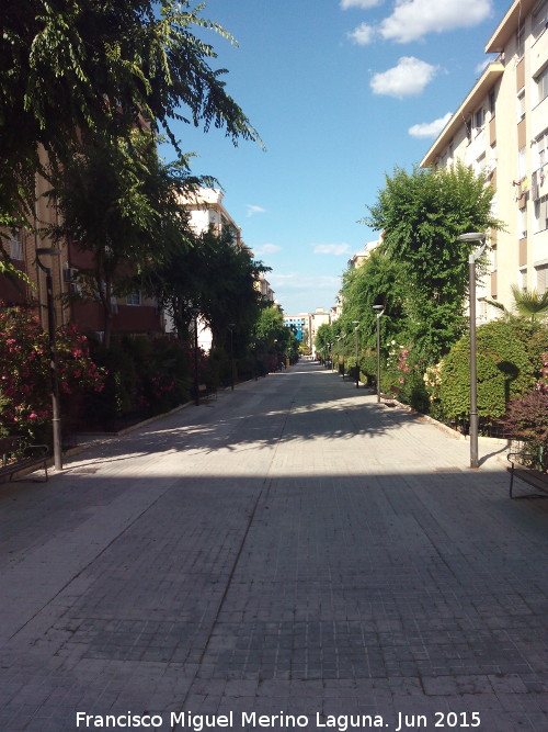 Paseo Virgen del Roco - Paseo Virgen del Roco. 