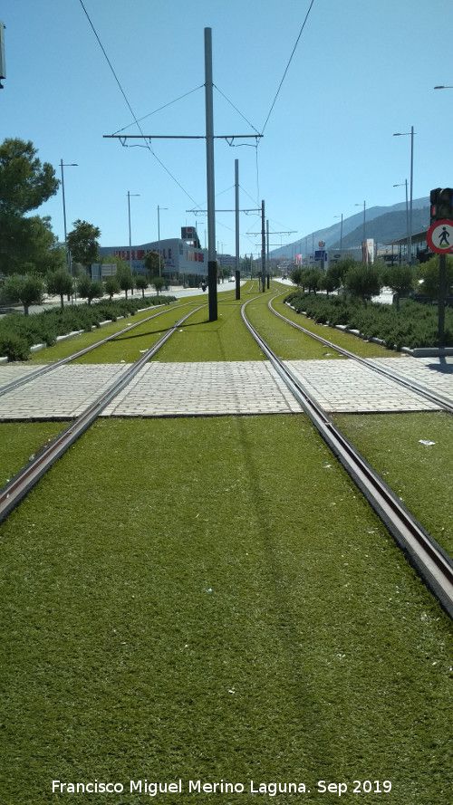 Tranva de Jan - Tranva de Jan. A la altura del Hospital Ciudad de Jan