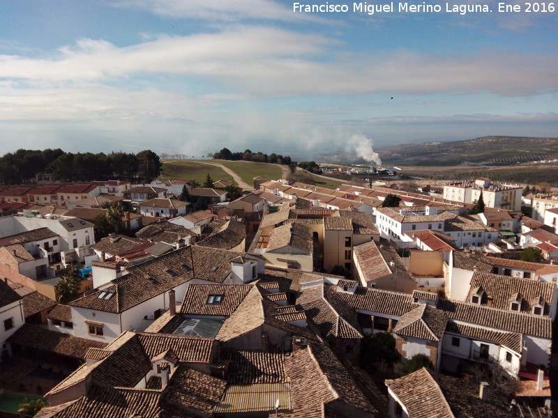 Baeza - Baeza. Baeza desde el campanario de la Catedral