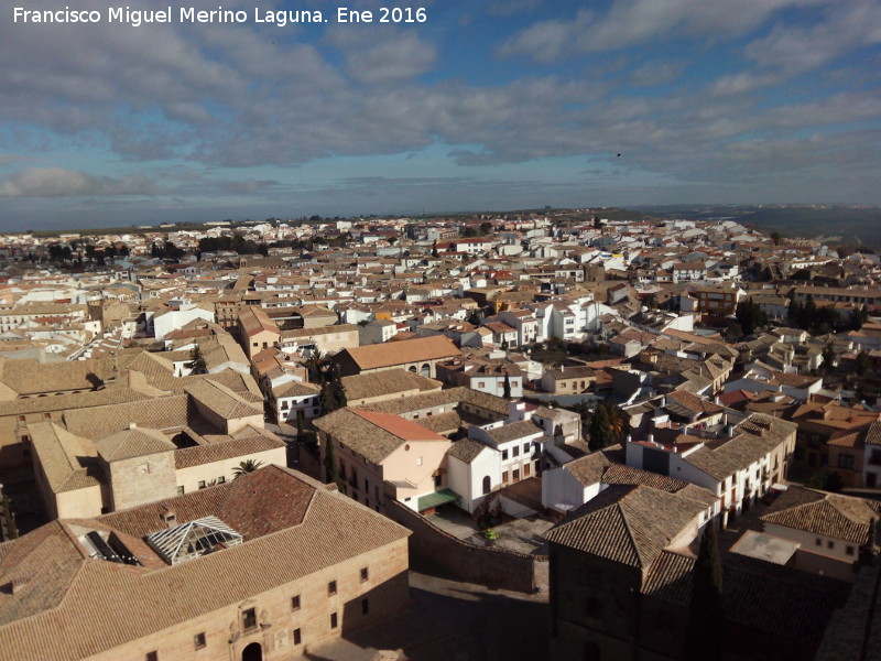 Baeza - Baeza. Baeza desde el campanario de la Catedral