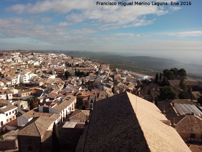 Baeza - Baeza. Baeza desde el campanario de la Catedral