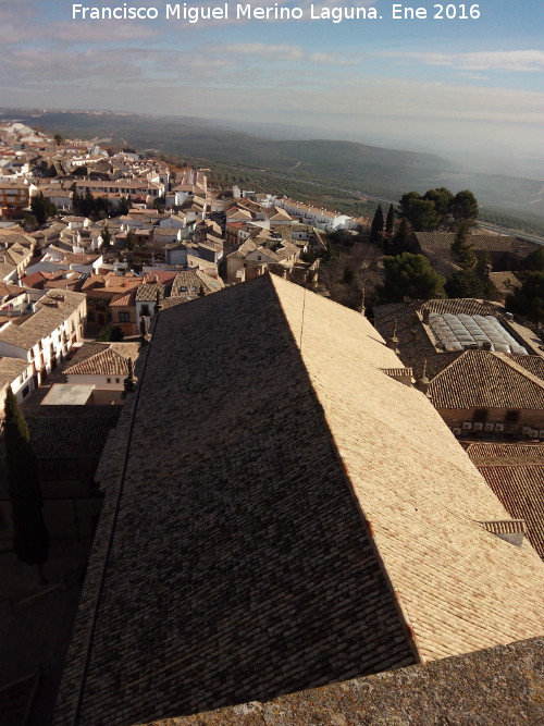 Catedral de Baeza - Catedral de Baeza. Cubierta