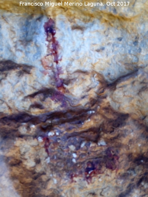 Pinturas rupestres de la Cueva del Hornillo de la Solana - Pinturas rupestres de la Cueva del Hornillo de la Solana. Pinturas inditas