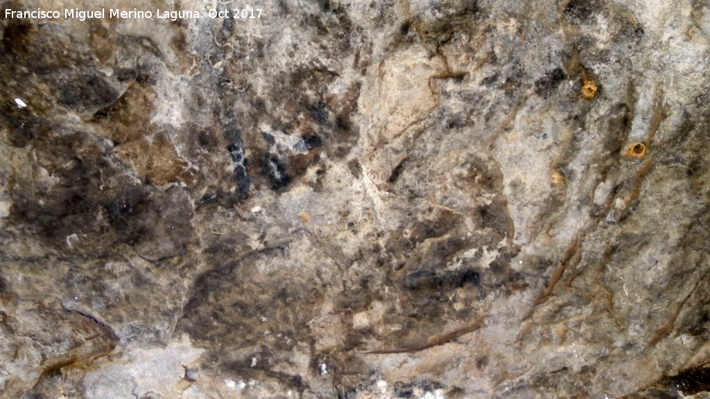 Pinturas rupestres de la Cueva del Hornillo de la Solana - Pinturas rupestres de la Cueva del Hornillo de la Solana. Panel con pinturas en negro