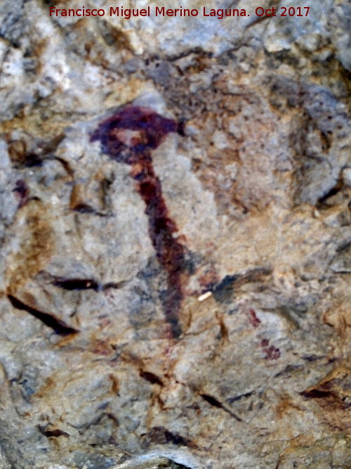 Pinturas rupestres de la Cueva del Hornillo de la Solana - Pinturas rupestres de la Cueva del Hornillo de la Solana. Antropomorfo