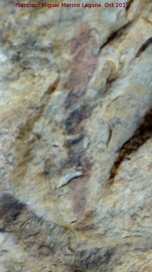 Pinturas rupestres de la Cueva del Hornillo de la Solana - Pinturas rupestres de la Cueva del Hornillo de la Solana. Barra vertical