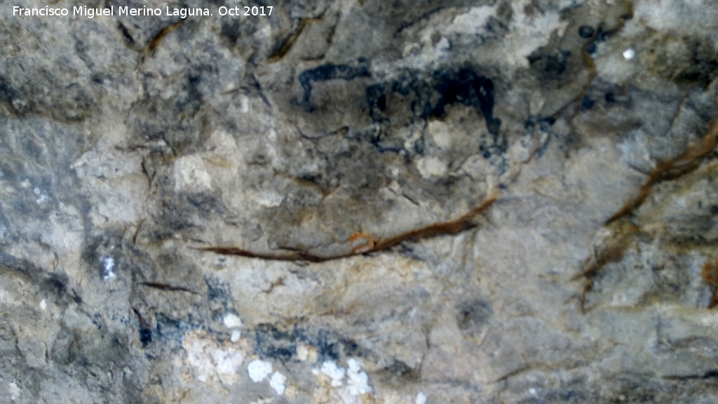 Pinturas rupestres de la Cueva del Hornillo de la Solana - Pinturas rupestres de la Cueva del Hornillo de la Solana. Pinturas negras inferiores