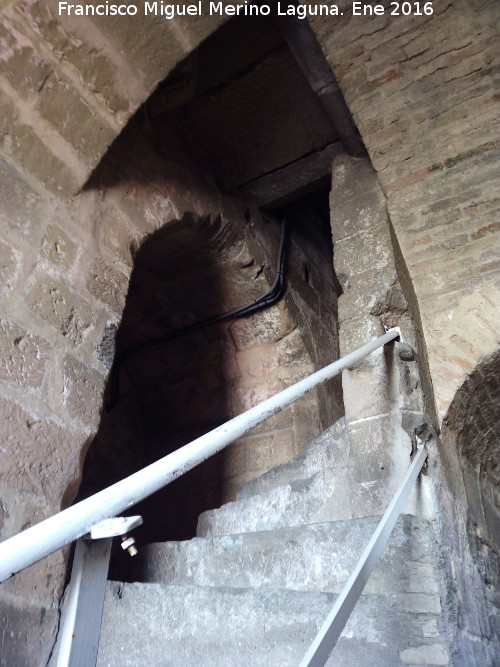 Catedral de Baeza. Torre - Catedral de Baeza. Torre. Escaleras