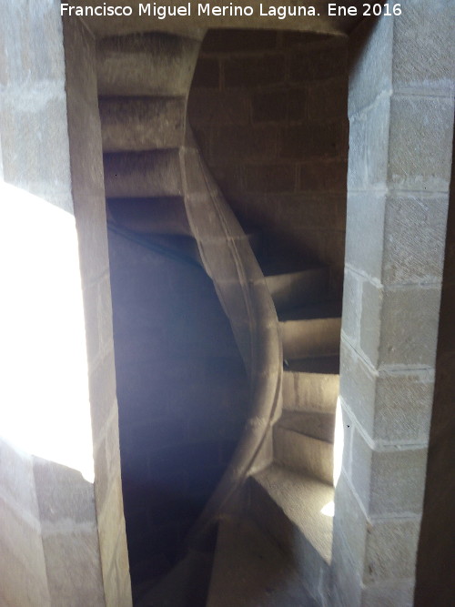 Catedral de Baeza. Torre - Catedral de Baeza. Torre. Escalera de caracol