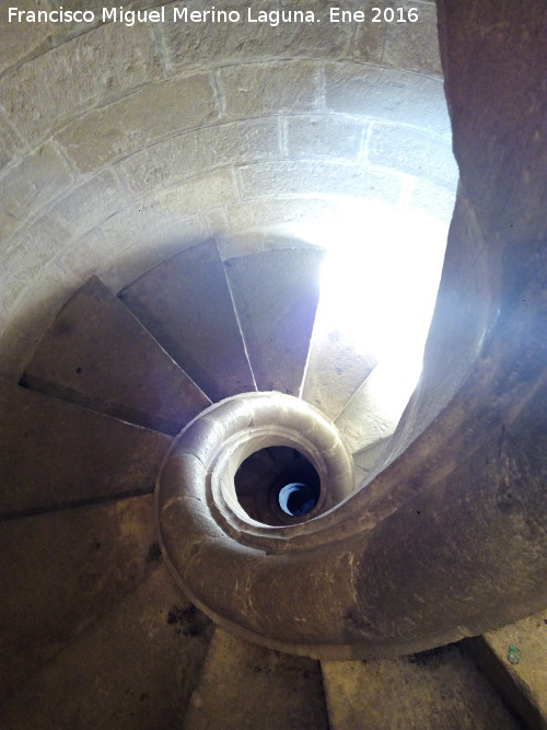 Catedral de Baeza. Torre - Catedral de Baeza. Torre. Escalera de caracol