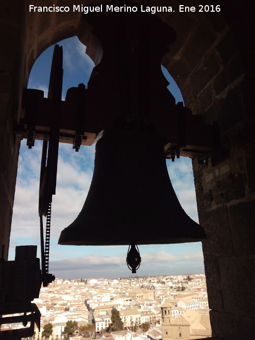 Catedral de Baeza. Torre - Catedral de Baeza. Torre. Campana