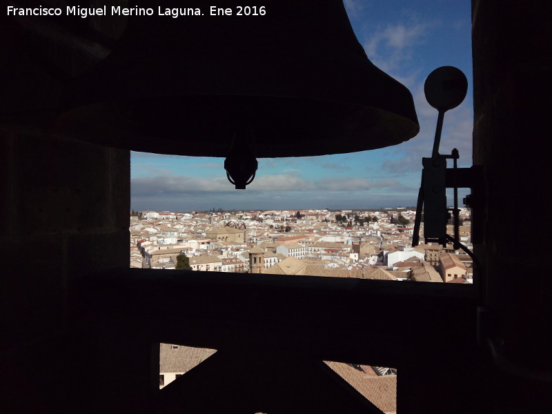 Catedral de Baeza. Torre - Catedral de Baeza. Torre. Baeza desde el campanario