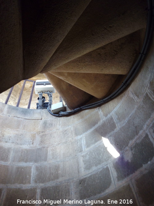 Catedral de Baeza. Torre - Catedral de Baeza. Torre. Escaleras de caracol