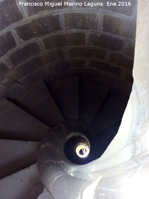 Catedral de Baeza. Torre - Catedral de Baeza. Torre. Escalera de caracol