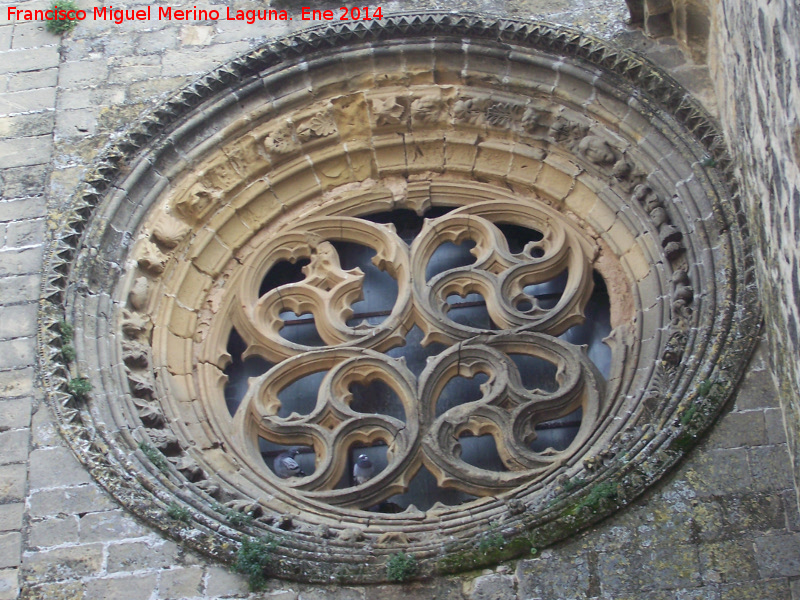 Catedral de Baeza. Fachada oeste - Catedral de Baeza. Fachada oeste. Rosetn