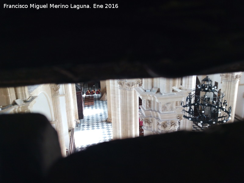 Catedral de Baeza. Interior - Catedral de Baeza. Interior. Desde la parte alta